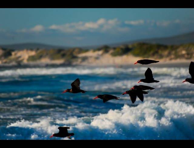 LAND FOR SALE IN MOSSEL BAY EXT 26